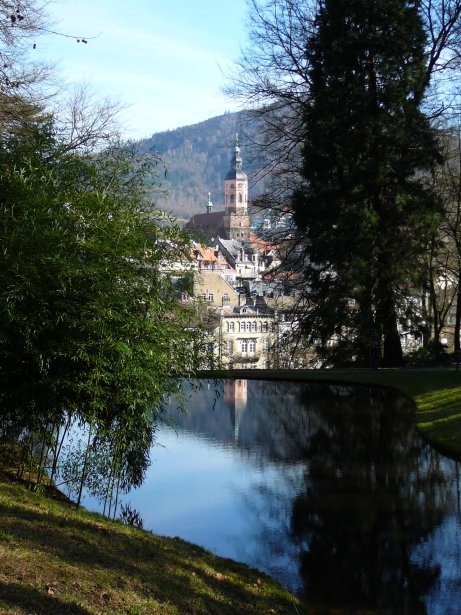 Ferienwohnung Am Krippenhof Baden-Baden Exteriér fotografie
